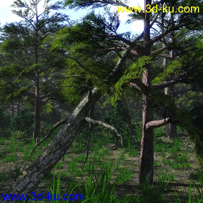 Mountain Forest模型的图片9