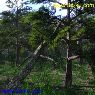 3D打印模型Mountain Forest的图片