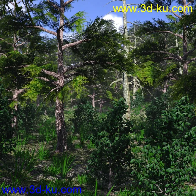 Mountain Forest模型的图片11