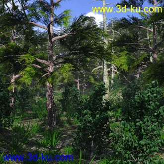 3D打印模型Mountain Forest的图片