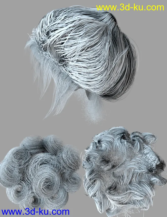 My Edwardian Hair for Genesis 8 Female(s)模型的图片14