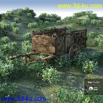 3D打印模型My Nature Collection的图片