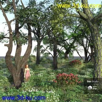 3D打印模型My Nature Collection的图片