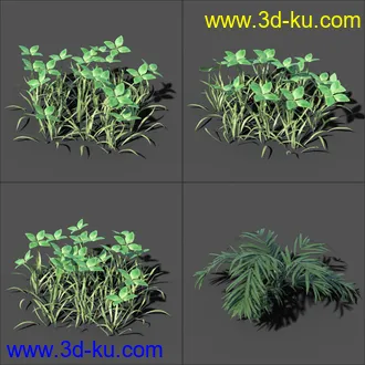 My Nature Collection模型的图片6