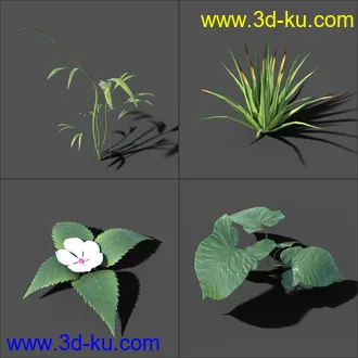 3D打印模型My Nature Collection的图片