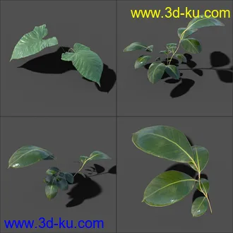 My Nature Collection模型的图片8