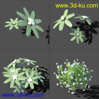 My Nature Collection模型的图片9