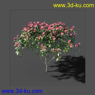 My Nature Collection模型的图片10