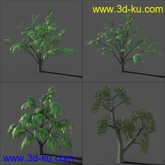 My Nature Collection模型的图片11