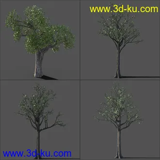 3D打印模型My Nature Collection的图片