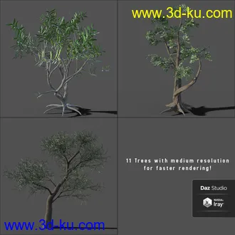 My Nature Collection模型的图片13