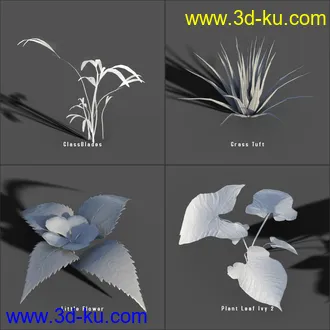 3D打印模型My Nature Collection的图片