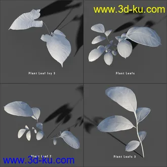 My Nature Collection模型的图片16