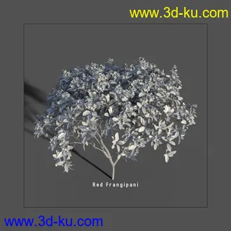 3D打印模型My Nature Collection的图片