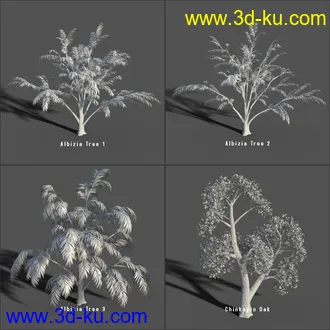 My Nature Collection模型的图片19