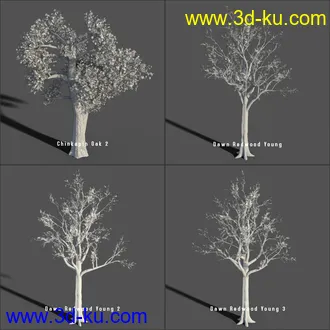 3D打印模型My Nature Collection的图片