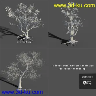 3D打印模型My Nature Collection的图片