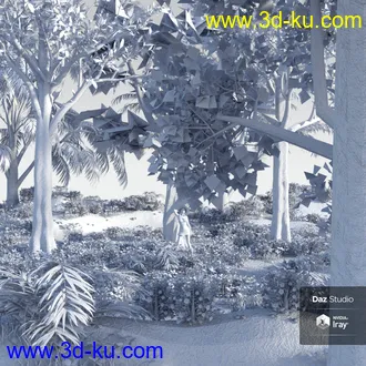 My Nature Collection模型的图片22