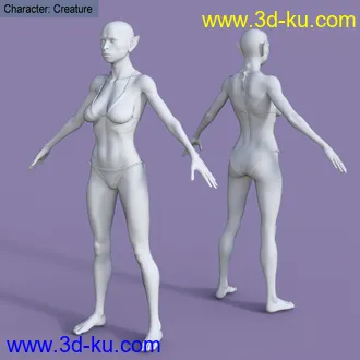 3D打印模型My Shapes for Genesis 8 Female的图片