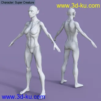 3D打印模型My Shapes for Genesis 8 Female的图片