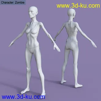 3D打印模型My Shapes for Genesis 8 Female的图片