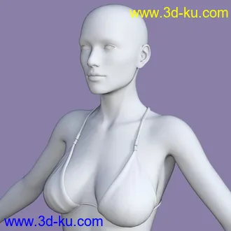 3D打印模型My Shapes for Genesis 8 Female的图片