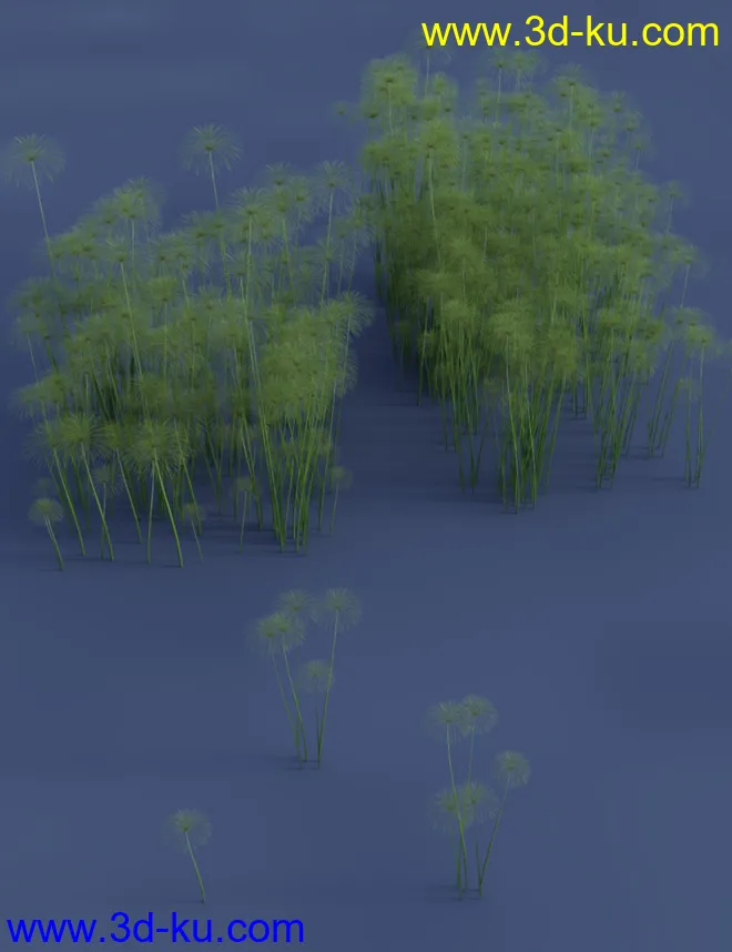 Nile Papyrus Plants模型的图片4