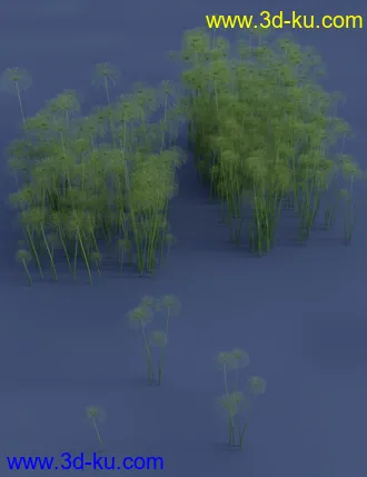 3D打印模型Nile Papyrus Plants的图片