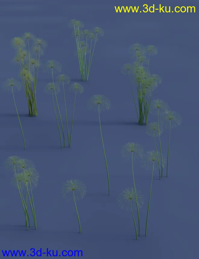 Nile Papyrus Plants模型的图片6