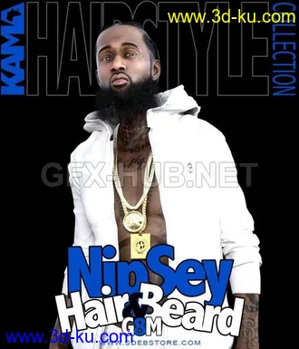 3D打印模型Nipsey Hair And Beard G8M的图片