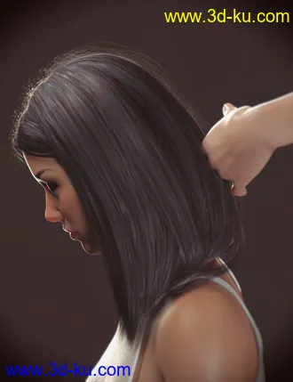 3D打印模型Nirv Medium Straight Hair for Genesis 8 Females的图片