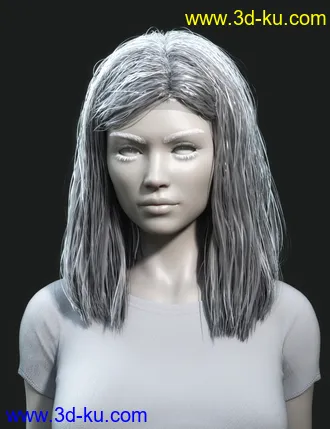 3D打印模型Nirv Medium Straight Hair for Genesis 8 Females的图片