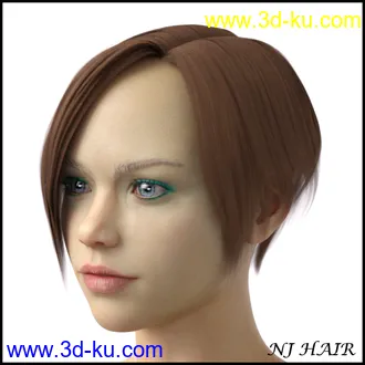 3D打印模型NJ Hair for Genesis 8 Female的图片