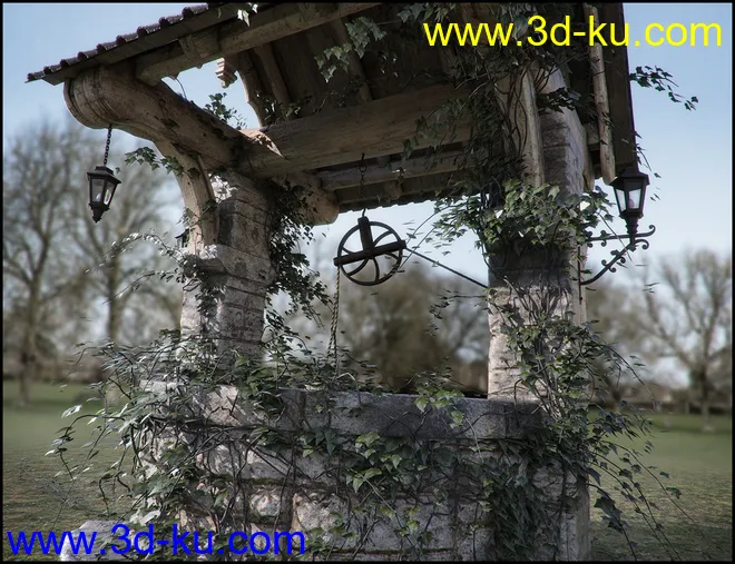 Old Village Wishing Well Iray模型的图片6