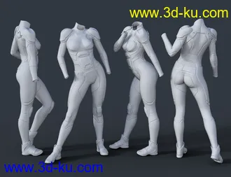 3D打印模型OMNI Suit for Genesis 8 and 8.1 Females的图片