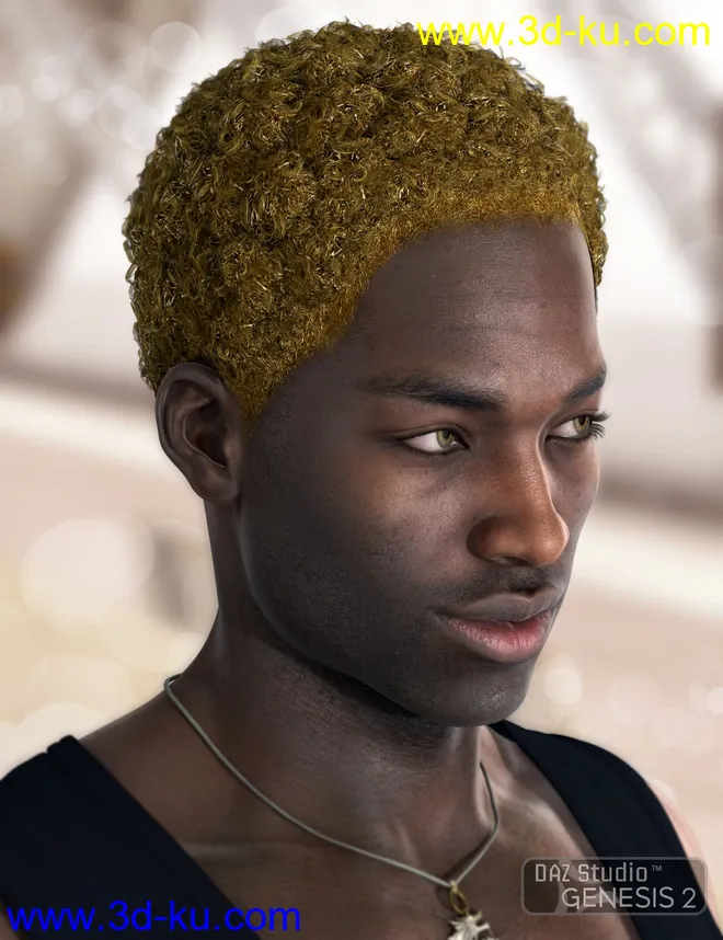 Omri Hair for Genesis 2 Male(s)模型的图片4
