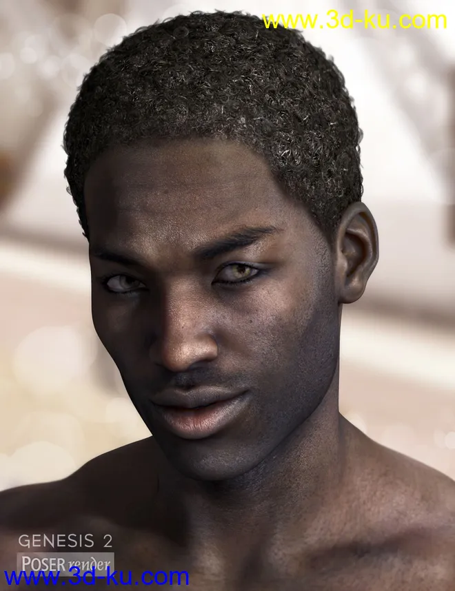 Omri Hair for Genesis 2 Male(s)模型的图片7