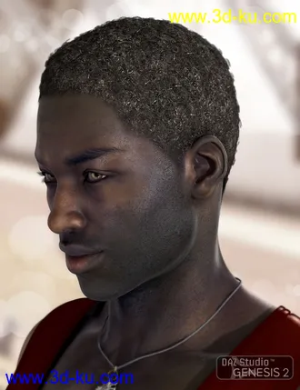 3D打印模型Omri Hair for Genesis 2 Male(s)的图片