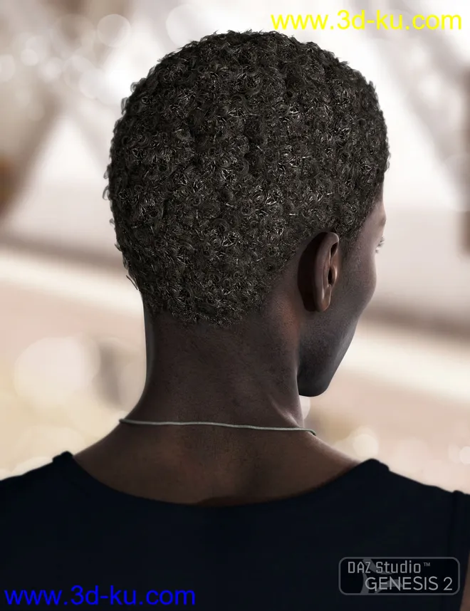Omri Hair for Genesis 2 Male(s)模型的图片9