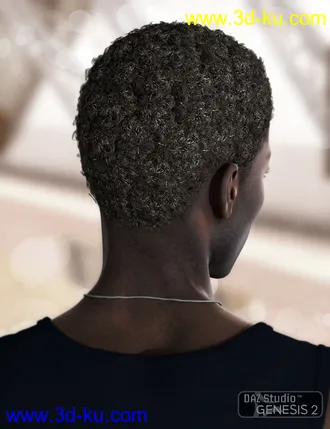 3D打印模型Omri Hair for Genesis 2 Male(s)的图片