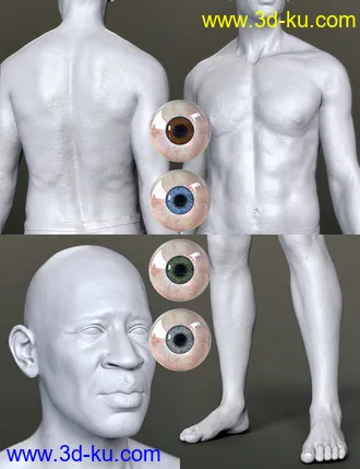 3D打印模型Otis HD for Genesis 8.1 Male的图片