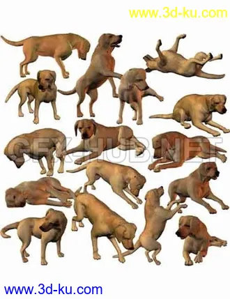 3D打印模型P4 Dog's Life Poses的图片