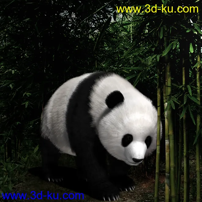 Panda (Poser)模型的图片1