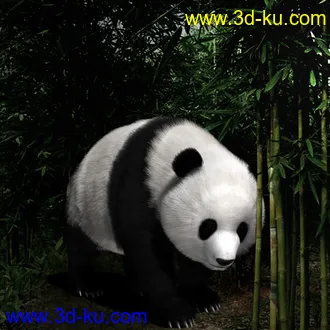 3D打印模型Panda (Poser)的图片
