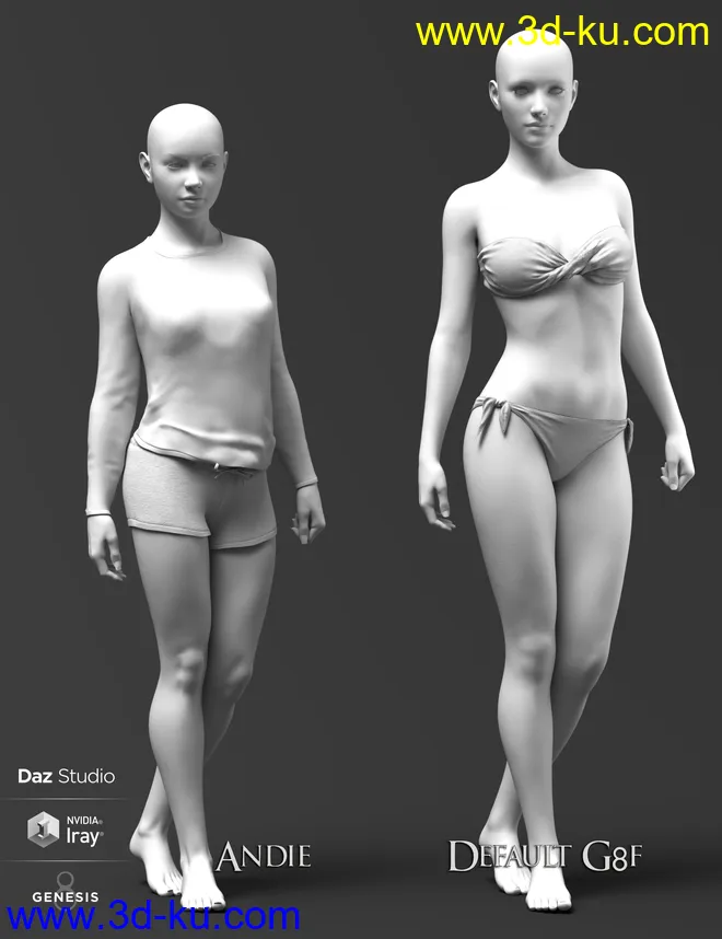 Phx Andie HD and Accessories for Genesis 8 Females模型的图片6