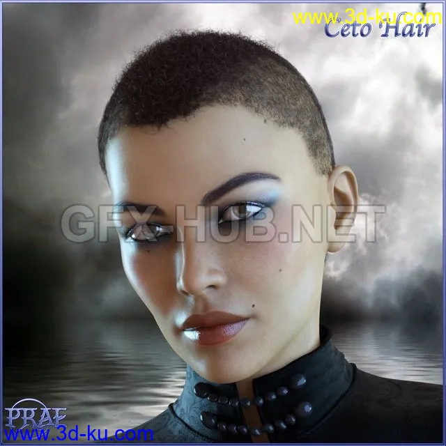 Prae-Ceto Hair For G8 Male and Female Daz模型的图片1