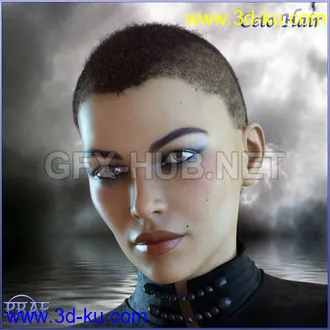 3D打印模型Prae-Ceto Hair For G8 Male and Female Daz的图片