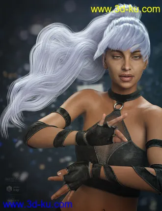 3D打印模型Qiana Hair for Genesis 3 and 8 Females的图片