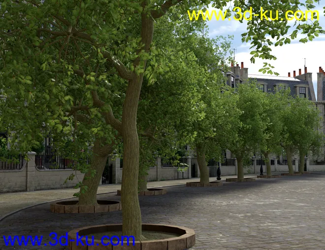 Randomizable Trees模型的图片2