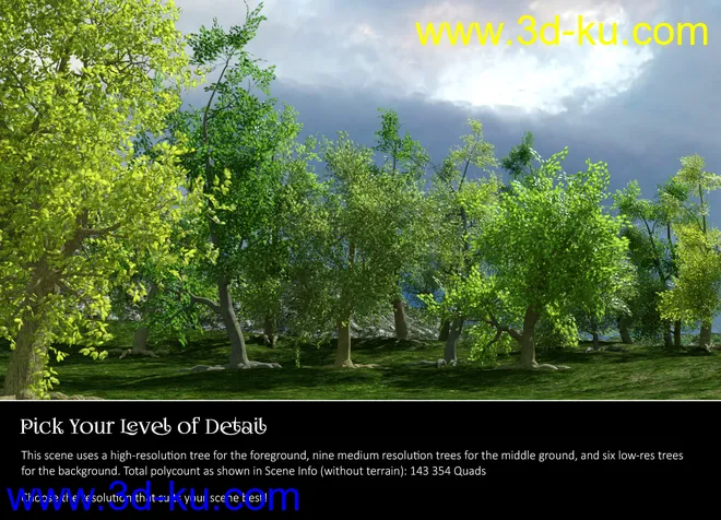 Randomizable Trees模型的图片3